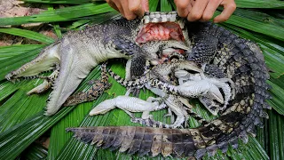 Top Videos Find & Catch n wild Crocodile i found baby Crocodile in stomach then cook under raining