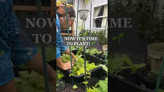 How mom reduces weight of her hanging #plants ! Helpful when she’s rearranging her garden! #shorts