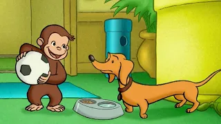 Coco der Neugierige Affe | George spielt mit Hundley | Cartoons für Kinder