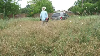 This Yard was EXTREMELY OVERGROWN HELPING Random Home Owner with a FREE YARD MAKEOVER