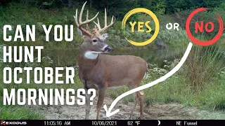 Should YOU Be Hunting MORNINGS in October?