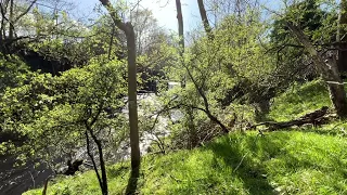 Life in Wales Sitting by the River