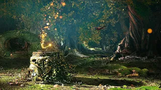 Magical Mirror in Elven Autumn Forest Ambience 🍂🪞 Nature & Elven Sounds | Inspired by Galadriel LOTR