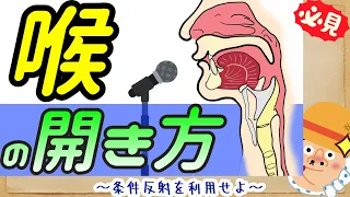 【喉の開き方】喉を開く方法・コツ・体感を徹底解説！高音を優しく歌いたい人・話し声がキンキンする人必見！