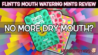 Flintts Mouth Watering Mints 2024 Usage & Review | Herbistry420