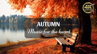 Healing autumn piano 🍀heals the heart and blood vessels🍀relieves stress and calms the nervous system