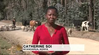 Mobile banking helps Kenyan farmers