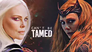 Marvel Ladies || Can't be Tamed