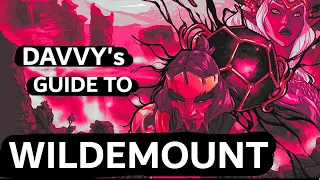 Davvy's Guide to Wildemount