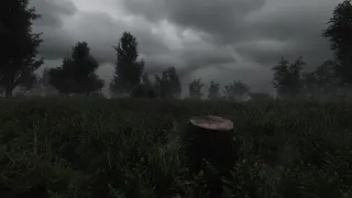 【 STALKER Anomaly】Gloss Fix - Wet Grass