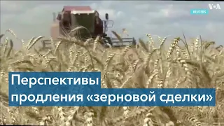 «Не продлить сделку было бы преступно»: эксперт – о «зерновой сделке» России и Украины