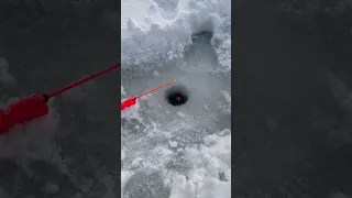 Ледовая обстановка в парке Царицыно. 6.01.2022 / Ice fishing in Tsaritsyno park