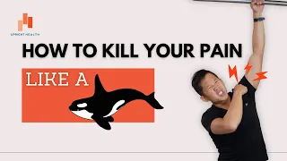 How to Fix Pain (Like a Killer Whale)