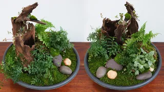 DIY Tabletop Miniature Garden | How to make a beautiful miniature landscape | Miniature moss garden