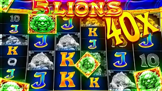 INSANE MYSTERY ON 5 Lions WORTH IT? - Bonus Buys