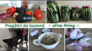 Pregatiri de toamna/ Slow living