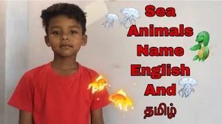 Sea Animals Name English And தமிழ் | Faazil class