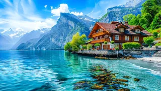 Oberried - A heavenly village on Switzerland's most beautiful lake 🇨🇭 Switzerland 4K