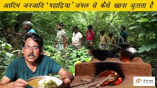 How primitive tribe gathers food from the Jungle | पहाड़िया जंगल से कैसे खाना जुटाते हैं