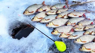 КАК ОНА ДУБАСИТ на ГВОЗДЬ!!! РЫБАЛКА на БАЛАНСИР и МОРМЫШКУ