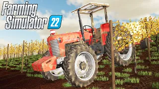 FERTILIZANDO PARREIRAS DE UVAS | Farming Simulator 22 | Centro Oeste Map