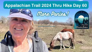 Appalachian Trail 2024 Thru Hike Day 60 - More ponies!