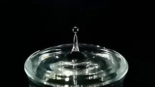 Water Droplets in Slow Motion