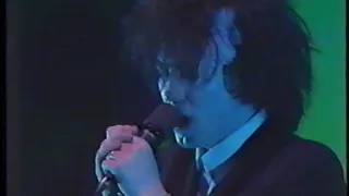 The Love Cats The Cure Live Tokyo Japan 84 Rock Concert Band Footage 1984