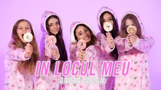 ANDRA GOGAN - IN LOCUL MEU (Official Video)