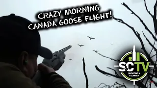 S&C TV | Canada goose control mission! Superb morning flight