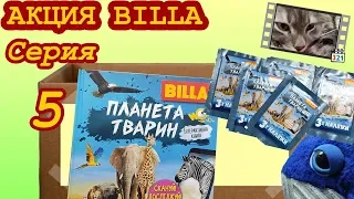 Обзор акции BILLA. 📓 Книга-альбом - Планета животных, серия 5 (Не Льорки)