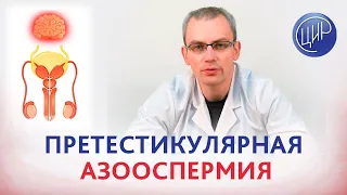 Претестикулярная азооспермия и гипогонадотропный гипогонадизм. Мужское бесплодие. Живулько А.Р.