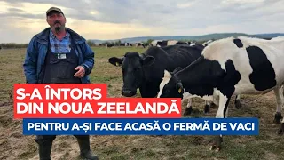 S-a întors din Noua Zeelandă pentru a-și face fermă de vaci la Borlești