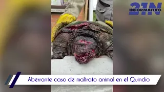 ABERRANTE CASO DE MALTRATO ANIMAL EN EL QUINDÍO