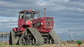 **TOP SOUND** Belarus T150K + Case-Ih tracks + Fiat engine 250 HP | ALBERTAZZI