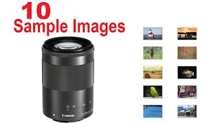 Canon EF-M 55-200mm f/4.5-6.3 Sample Images [Photo Gallery] Telephoto Zoom for Nature/Sports/Travel