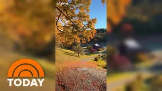 Feud over fall foliage as local Vermont residents ban leaf peepers