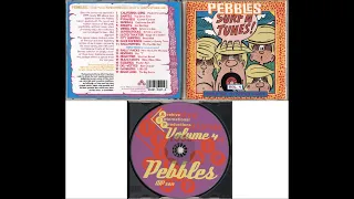 Pebbles Volume 4: Surf N Tunes!