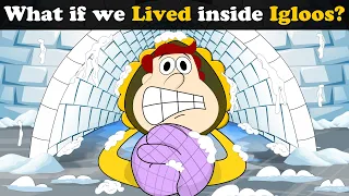 What if we Lived inside Igloos? + more videos | #aumsum #kids #science #education #whatif