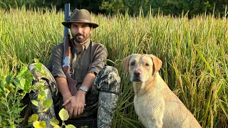 Dove shooting at Swat, KPK | Day 2