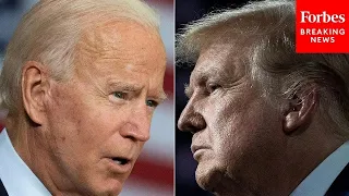 This Is Why Biden Is The Strongest Democrat To Take On Trump: Democratic Strategist