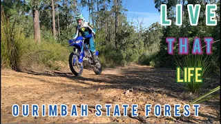 ourimbah state forest on my new WR450