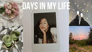 DAYS IN MY LIFE: produktiver Morgen, endlich wieder Sport, HelloFresh Bestellung & Deko shopping