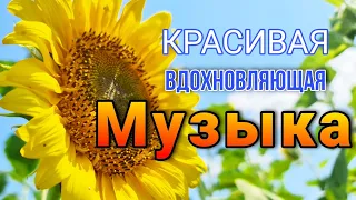 Это невероятно красивая, Вдохновляющая музыка! Жаркий день- Сергей Чекалин