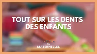 Tout sur les dents des enfants - La Maison des maternelles #LMDM