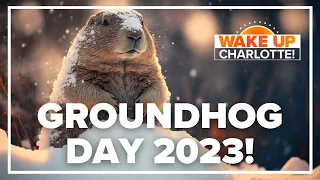 Punxsutawney Phil predicts 6 more weeks of winter: #WakeUpCLT To Go