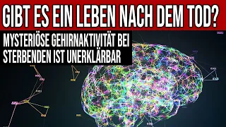 Gibt es ein Leben nach dem Tod? - Mysteriöse Gehirnaktivität bei Sterbenden ist unerklärbar