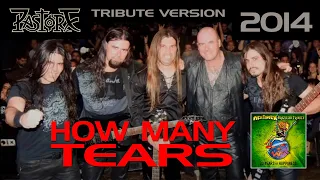 How many tears - Brazilian Tribute 2014