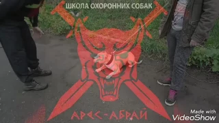 Школа охранных собак "Арес-Абрай" город Хмельницкий.