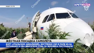 Airbus A321 «Уральских авиалиний» экстренно сел в кукурузном поле